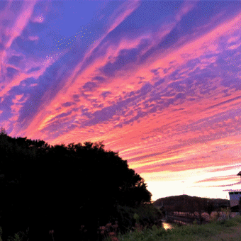 奇麗な夕焼け