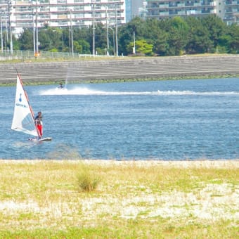 甲子園浜～西宮浜～夙川。