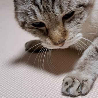 懐かしい仲間に会います＼(^o^)／