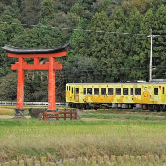 その１５