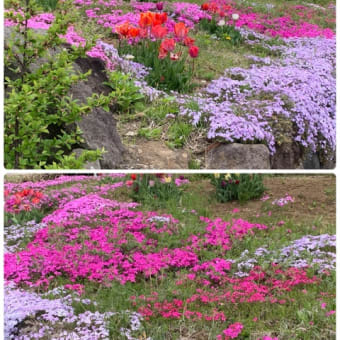 今日も元気に