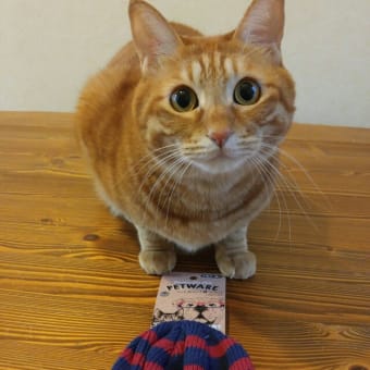 ☆今日、買った物☆8