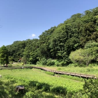 山もあるよー