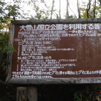 美瑛・富良野・層雲峡－その９
