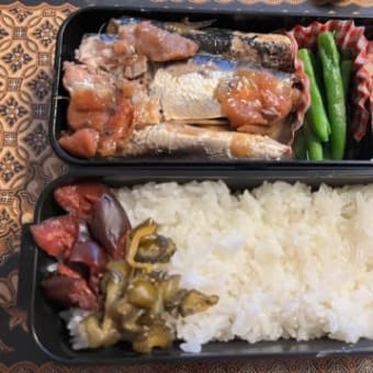 イヤイヤ期？
