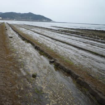 宮崎旅行