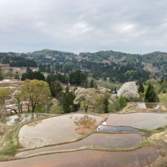 四月の出来事　帰省と三島行