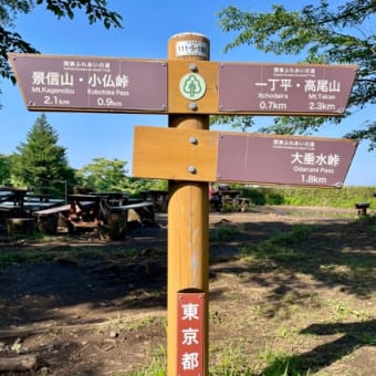 gooブログ書籍化と高尾山シリーズ