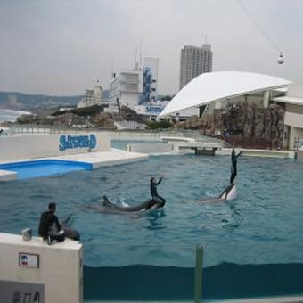 ぼうそう