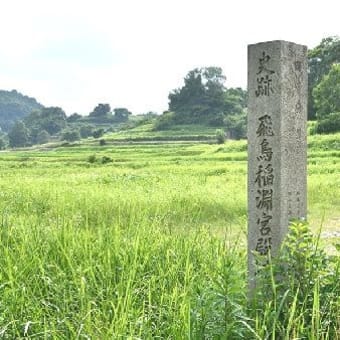 飛鳥の稲淵の棚田と案山子ロードを訪ねて