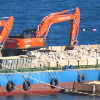 ６月１２日の大浦湾の様子