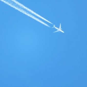 青空に映える「旅客機」良いニャ(=^・^=)(=^・・^=)