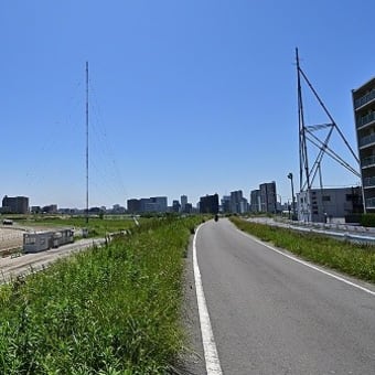 馬の標識