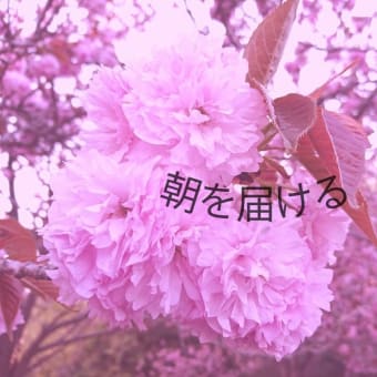 朝を届ける 2023.05.18