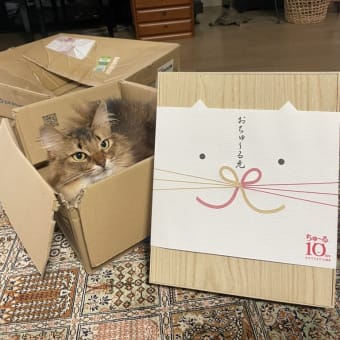 おちゅ～る元