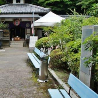京都　青モミジ100シリーズ毘沙門堂塔頭の双林院(山科聖天)
