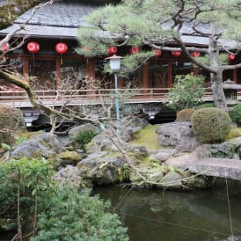 京の梅観賞と京菓子文化に触れる旅を楽しむ