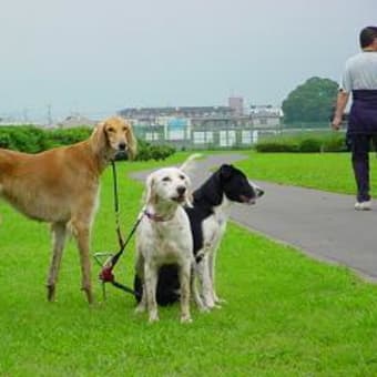 困った、重なりすぎ！