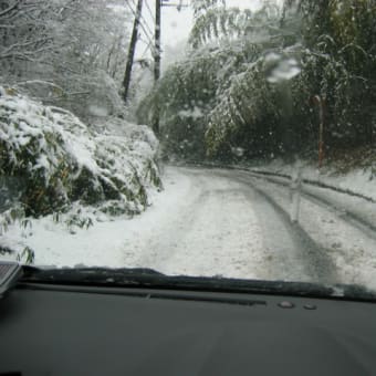 これぞ雪景色②