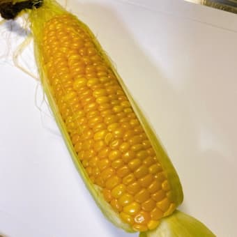 初物おすそ分け☆