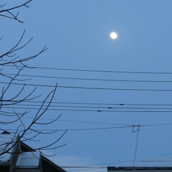 寒の夕暮れ