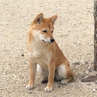 アイちゃんは2021年7月22日生まれ