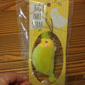 100均グッズ