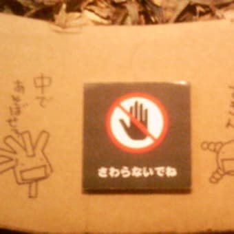 もやしもん