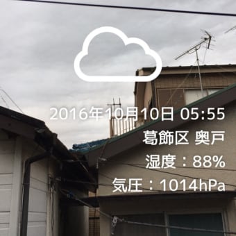 寒い。。。