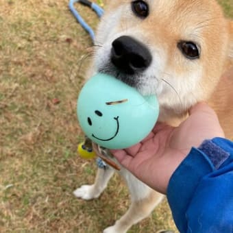 休日のルーチン