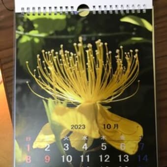 2023年オリジナルカレンダー
