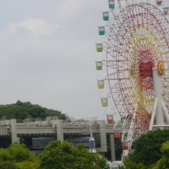 おサルさん達、見飽きません♪