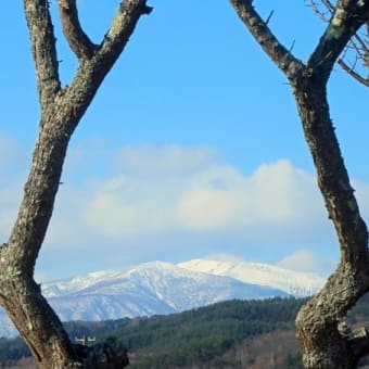 春めいてきました
