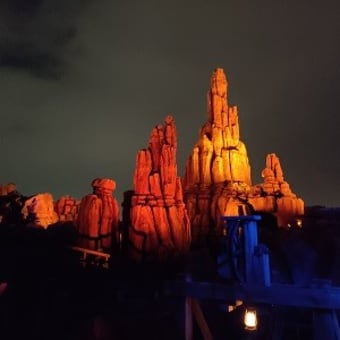 大晦日 ディズニーランド ★後編★