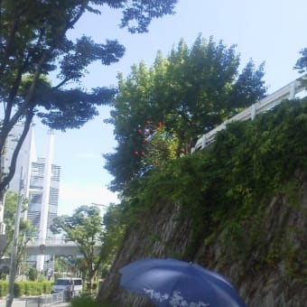 梅雨明けの六月