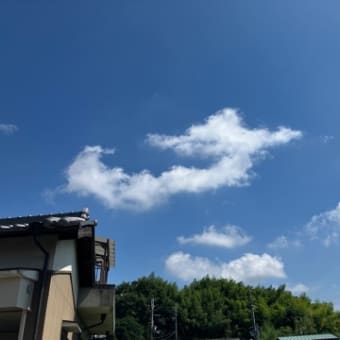 暑くなりました💦