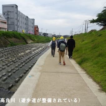 ６月例会「久留米の花菖蒲を求めて」（福岡県久留米市）