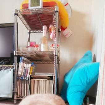 亡くなった母の夢を見た Kilnekoの日記