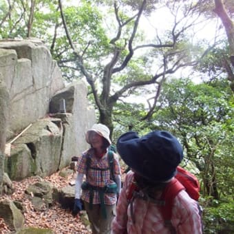 毎日登山発祥の山・再度山へ