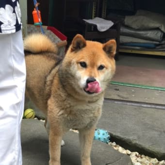 雨が降る前に