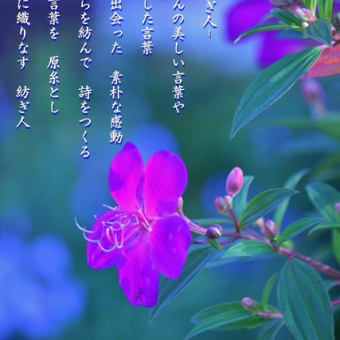 photo  poem    －　紡ぎ人　－