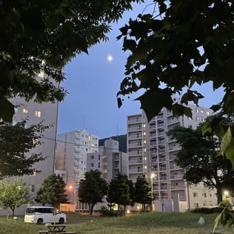 ◇　黄昏散歩