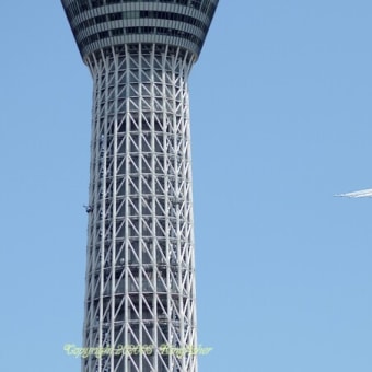 春の日差しに誘われて