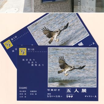 知人の写真展を観に行きました