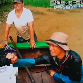 人の風景　emiko life  317話   NHK「怪魚ハンターが行く」を見て