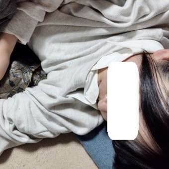 新年度、いよいよ始動