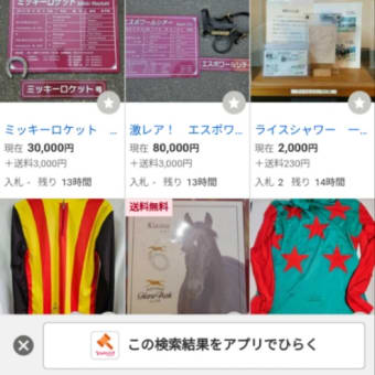 ヤフオクの福祉活動さん（xzyyd0498さん）に呪いをかけました。2024年11月7日の仏滅