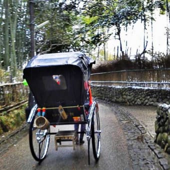 竹林の雪化粧　嵐山・野宮神社