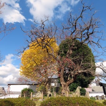 思い付きって、どこから来るの？