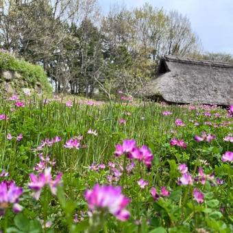 春の陽気